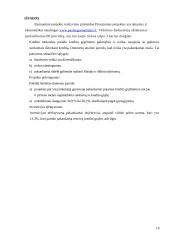 Verslo planas "www.paslaugosnamams.lt" 19 puslapis