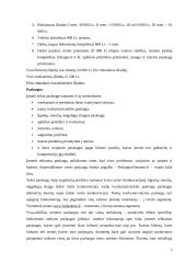 Verslo planas "www.paslaugosnamams.lt" 3 puslapis