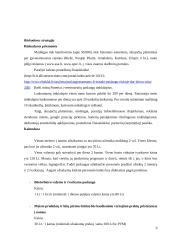 Verslo planas "www.paslaugosnamams.lt" 9 puslapis
