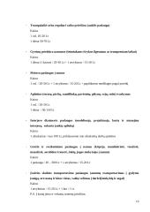 Verslo planas "www.paslaugosnamams.lt" 10 puslapis