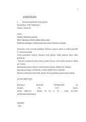 Verslo planas UAB "Didbatukas" 2 puslapis