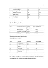 Verslo planas UAB "Didbatukas" 11 puslapis
