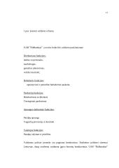 Verslo planas UAB "Didbatukas" 13 puslapis