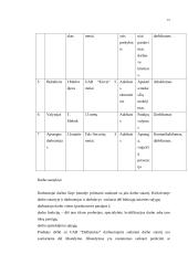 Verslo planas UAB "Didbatukas" 15 puslapis