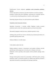 Verslo planas UAB "Didbatukas" 19 puslapis