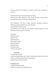 Verslo planas UAB "Didbatukas" 20 puslapis