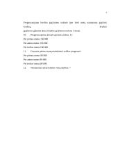 Verslo planas UAB "Didbatukas" 4 puslapis