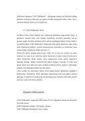 Verslo planas UAB "Didbatukas" 7 puslapis