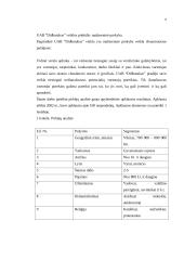 Verslo planas UAB "Didbatukas" 8 puslapis