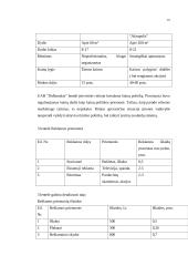 Verslo planas UAB "Didbatukas" 10 puslapis