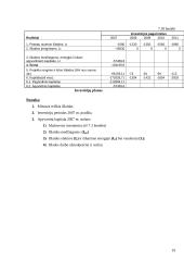 UAB „ Šiaurės pašvaistė“ verslo planas 19 puslapis