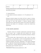 Maitinimo įstaigos darbo organizavimas 11 puslapis