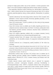 Kauno ir Šiaulių laisvosios ekonominės zonos 5 puslapis