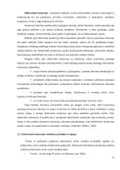 Lietuvos vieta globalios elektroninės komercijos rinkoje 13 puslapis