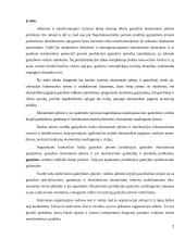 Makroekonominės gamybos funkcijos alternatyvos Lietuvoje 2 puslapis