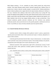 Makroekonominės gamybos funkcijos alternatyvos Lietuvoje 13 puslapis