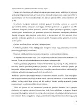 Makroekonominės gamybos funkcijos alternatyvos Lietuvoje 16 puslapis