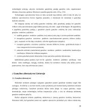 Makroekonominės gamybos funkcijos alternatyvos Lietuvoje 19 puslapis