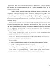 Makroekonominės gamybos funkcijos alternatyvos Lietuvoje 3 puslapis