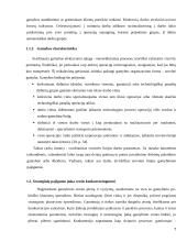 Makroekonominės gamybos funkcijos alternatyvos Lietuvoje 7 puslapis