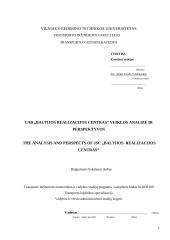 UAB „Baltijos realizacijos centras“ veiklos analizė ir perspektyvos 2 puslapis