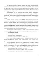 UAB „Baltijos realizacijos centras“ veiklos analizė ir perspektyvos 11 puslapis