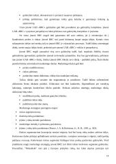 UAB „Baltijos realizacijos centras“ veiklos analizė ir perspektyvos 14 puslapis