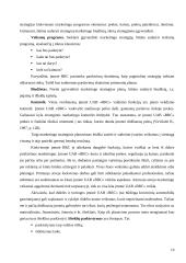 UAB „Baltijos realizacijos centras“ veiklos analizė ir perspektyvos 19 puslapis