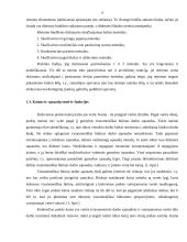 Marketingo komplekso tobulinimas ir taktika organizuojant UAB „Vilniaus duona“ produkcijos pardavimą Lietuvoje 15 puslapis