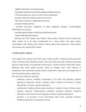 Buitinės technikos prekybos rinkodara 6 puslapis