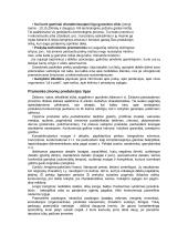 Marketingas pramonėje 3 puslapis