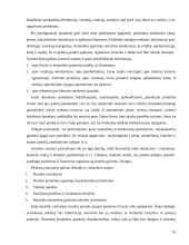 Marketingo tobulinimo kryptys AB “Dvarčionių keramika” 16 puslapis