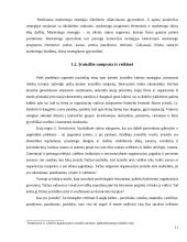 Įvaizdžio kūrimas baldų gamybos įmonėje  11 puslapis