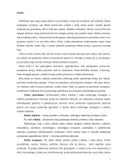 Naujo produkto ("Elitman" prabangių drabužių) įvedimas į rinką 2 puslapis