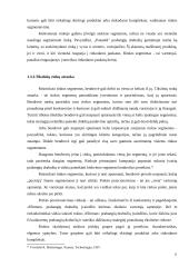 Naujo produkto ("Elitman" prabangių drabužių) įvedimas į rinką 11 puslapis