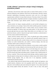 Naujo produkto ("Elitman" prabangių drabužių) įvedimas į rinką 19 puslapis
