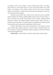 Naujo produkto ("Elitman" prabangių drabužių) įvedimas į rinką 3 puslapis