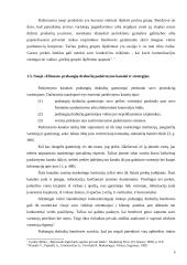 Naujo produkto ("Elitman" prabangių drabužių) įvedimas į rinką 8 puslapis