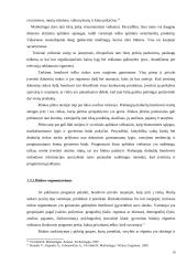 Naujo produkto ("Elitman" prabangių drabužių) įvedimas į rinką 10 puslapis