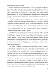 UAB „Elitman“ marketingo planas į užsienį 11 puslapis