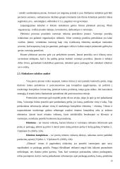 UAB „Elitman“ marketingo planas į užsienį 19 puslapis