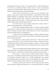 UAB “Klimkynės parkai” veiklos organizavimo tobulinimas 13 puslapis