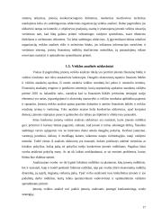 UAB “Klimkynės parkai” veiklos organizavimo tobulinimas 17 puslapis