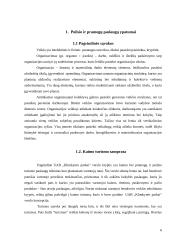 UAB “Klimkynės parkai” veiklos organizavimo tobulinimas 6 puslapis