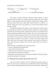 Kaimo turizmo plėtros galimybės Ukmergės rajono pavyzdžiu 13 puslapis