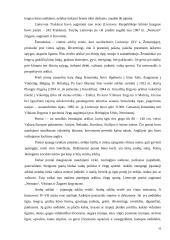 Rekreacinių paslaugų žirgynas  16 puslapis