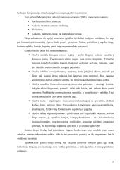 Rekreacinių paslaugų žirgynas  19 puslapis