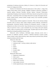 Rekreacinių paslaugų žirgynas  5 puslapis