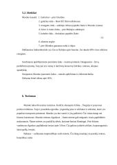 Turistiniai ištekliai Ispanijoje ir Maroke 11 puslapis