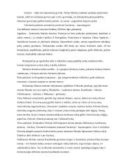 Turistiniai ištekliai Ispanijoje ir Maroke 12 puslapis